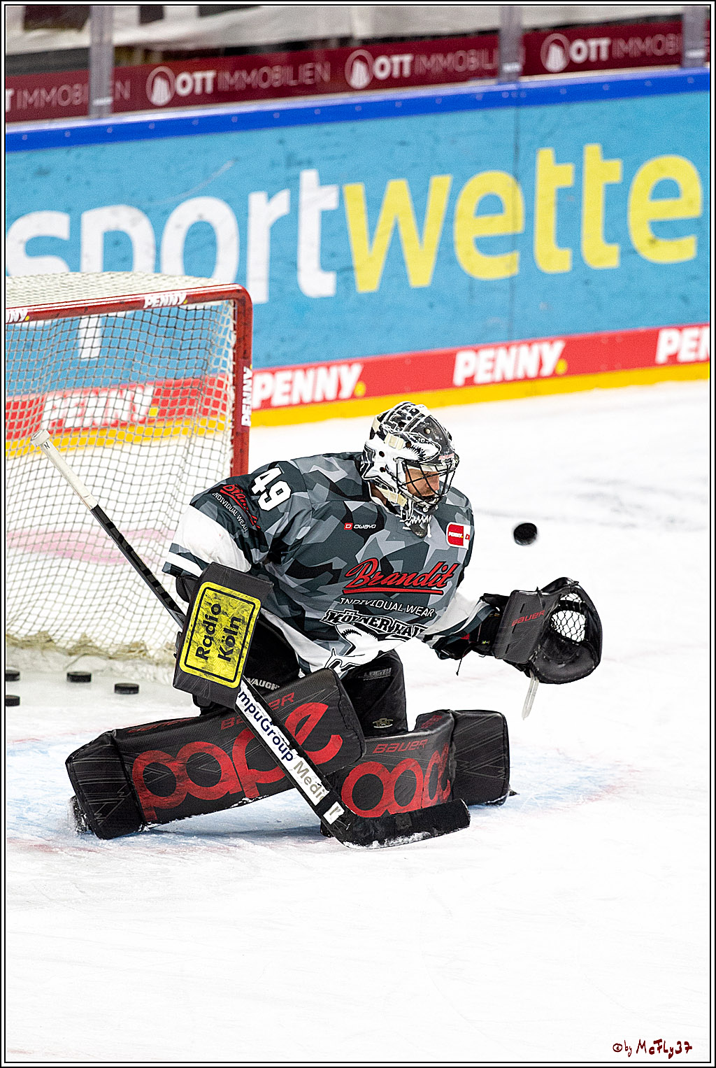 PENNY DEL;  Koelner Haie - Schwenninger Wild Wings; Koeln, 21.03.2021